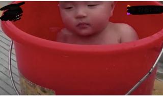 小树的心思300字作文 小树的心思300字作文